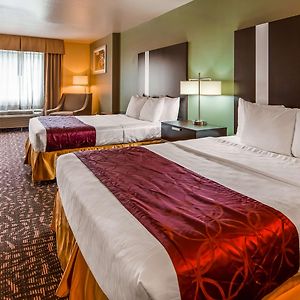 Queen Room Two Queen Beds Disability Access